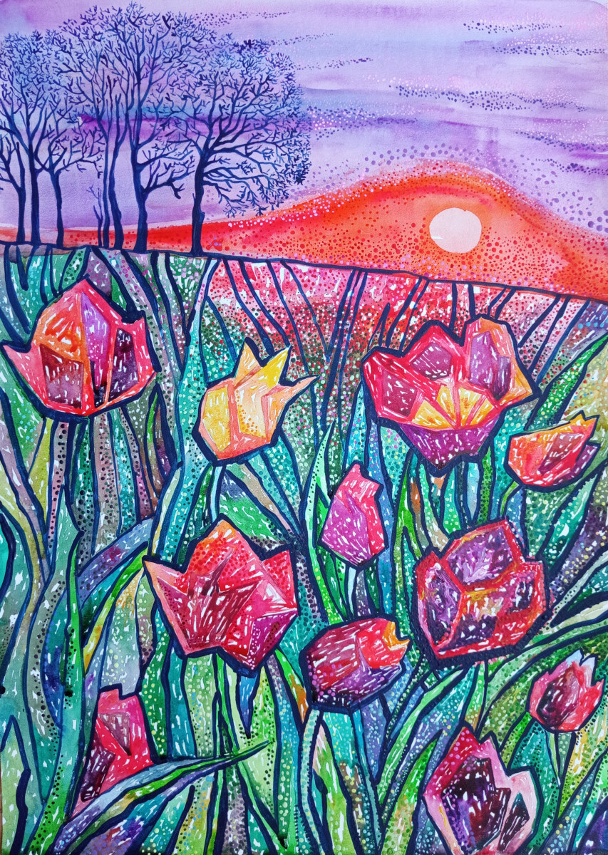 Тюльпаны в закате