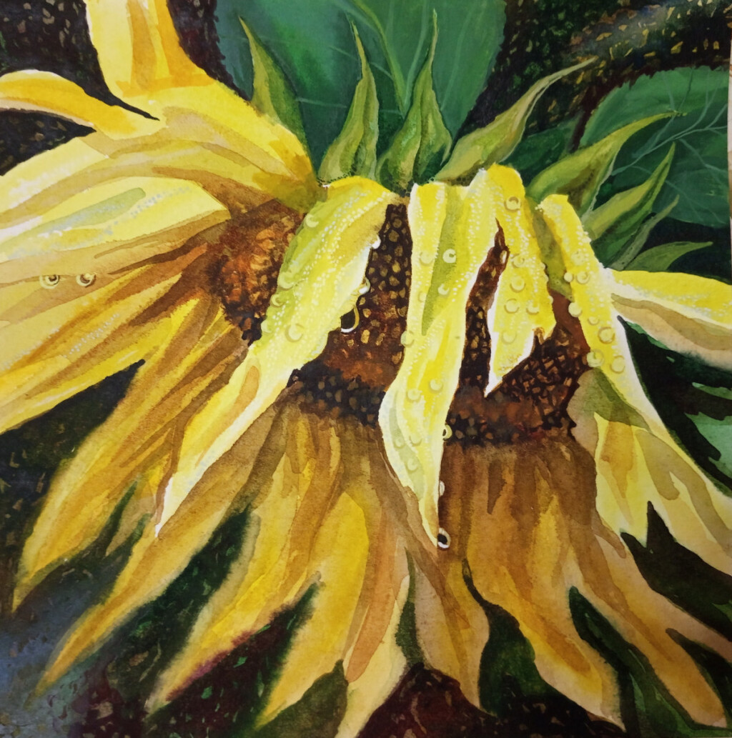 После дождя