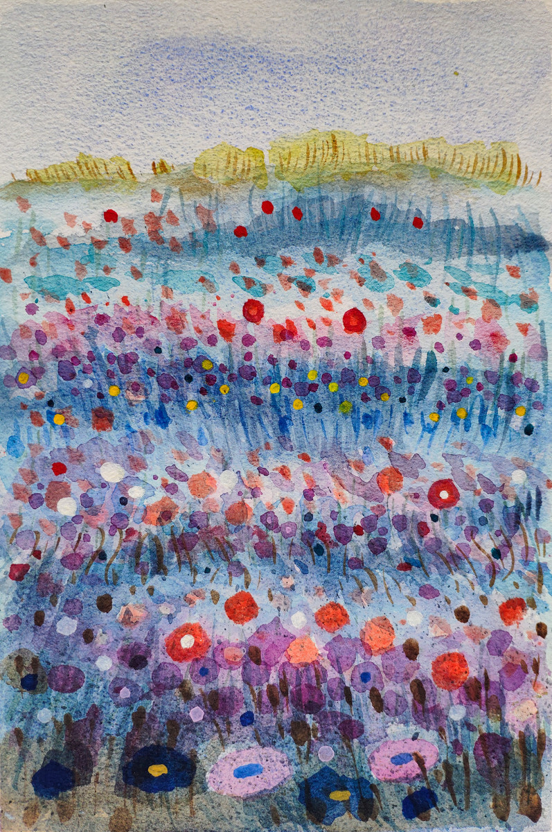 Разноцветное цветение луговых растений