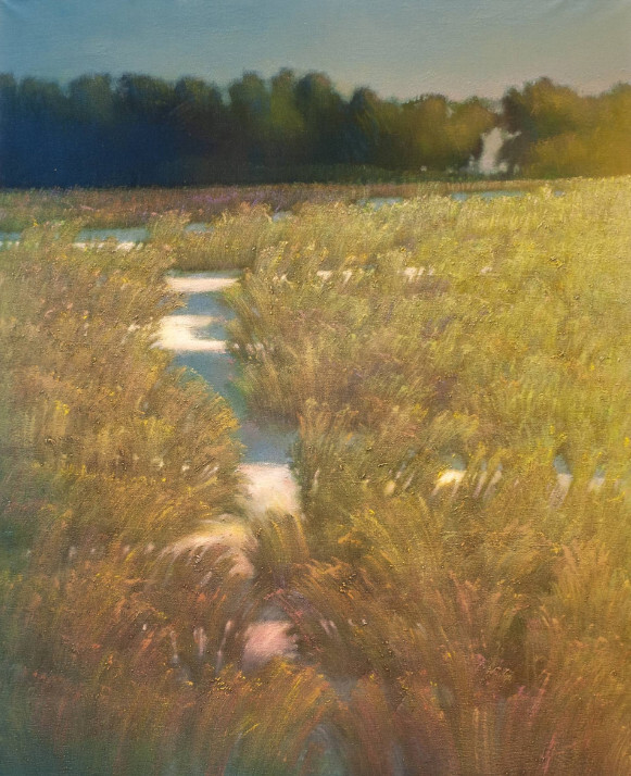 Летние травы