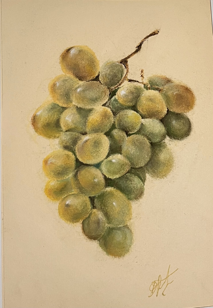 Гроздь винограда