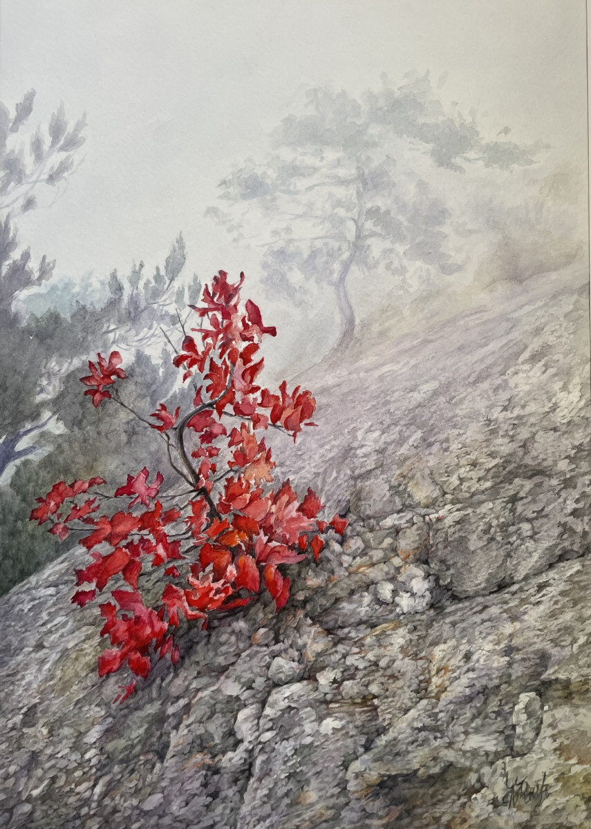 Запомните меня такой