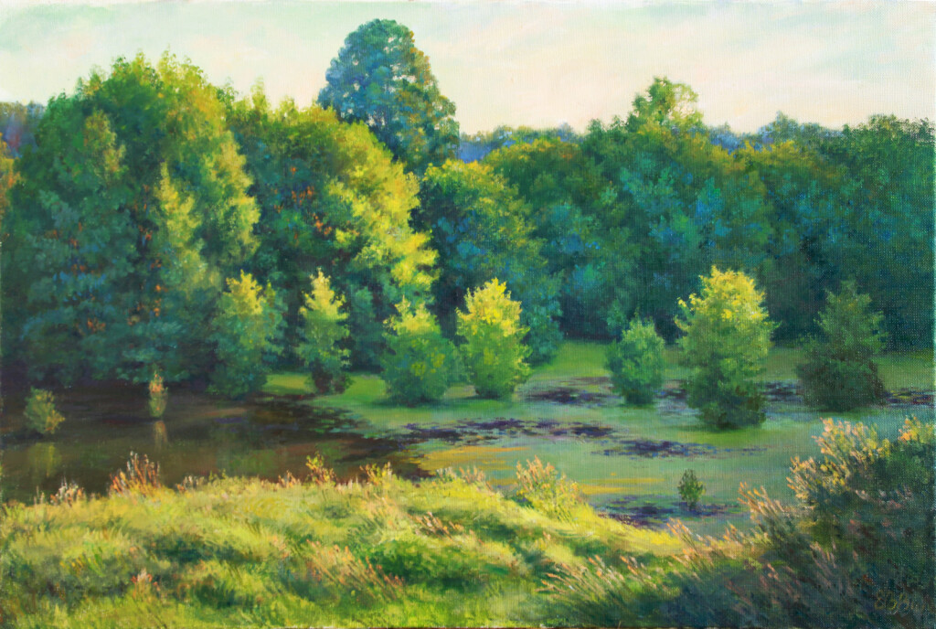 Заросший пруд