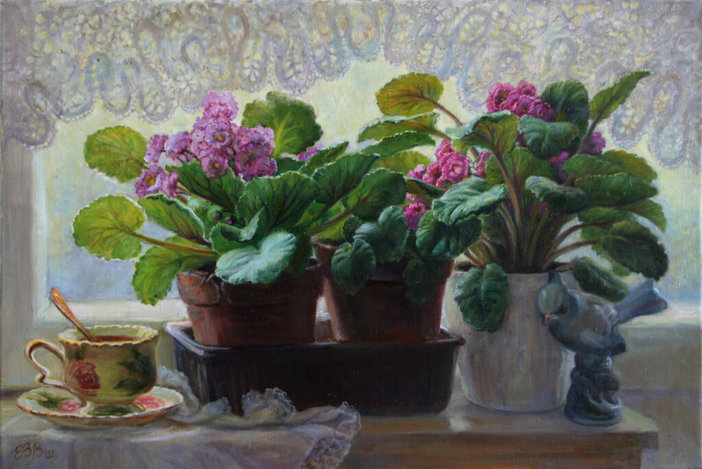 Комнатные фиалки