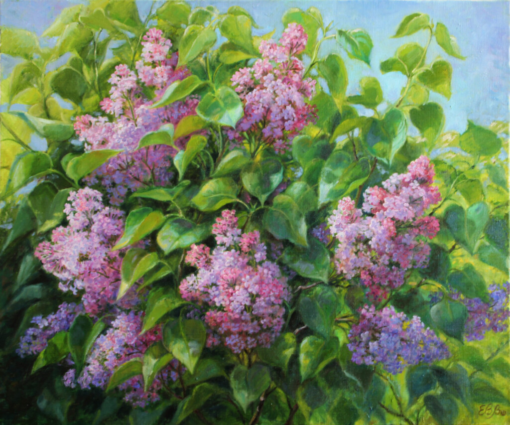 Сирень цветет