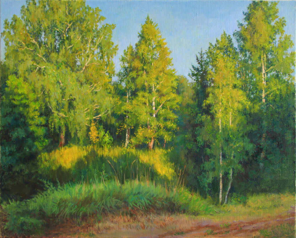 Березы вечером