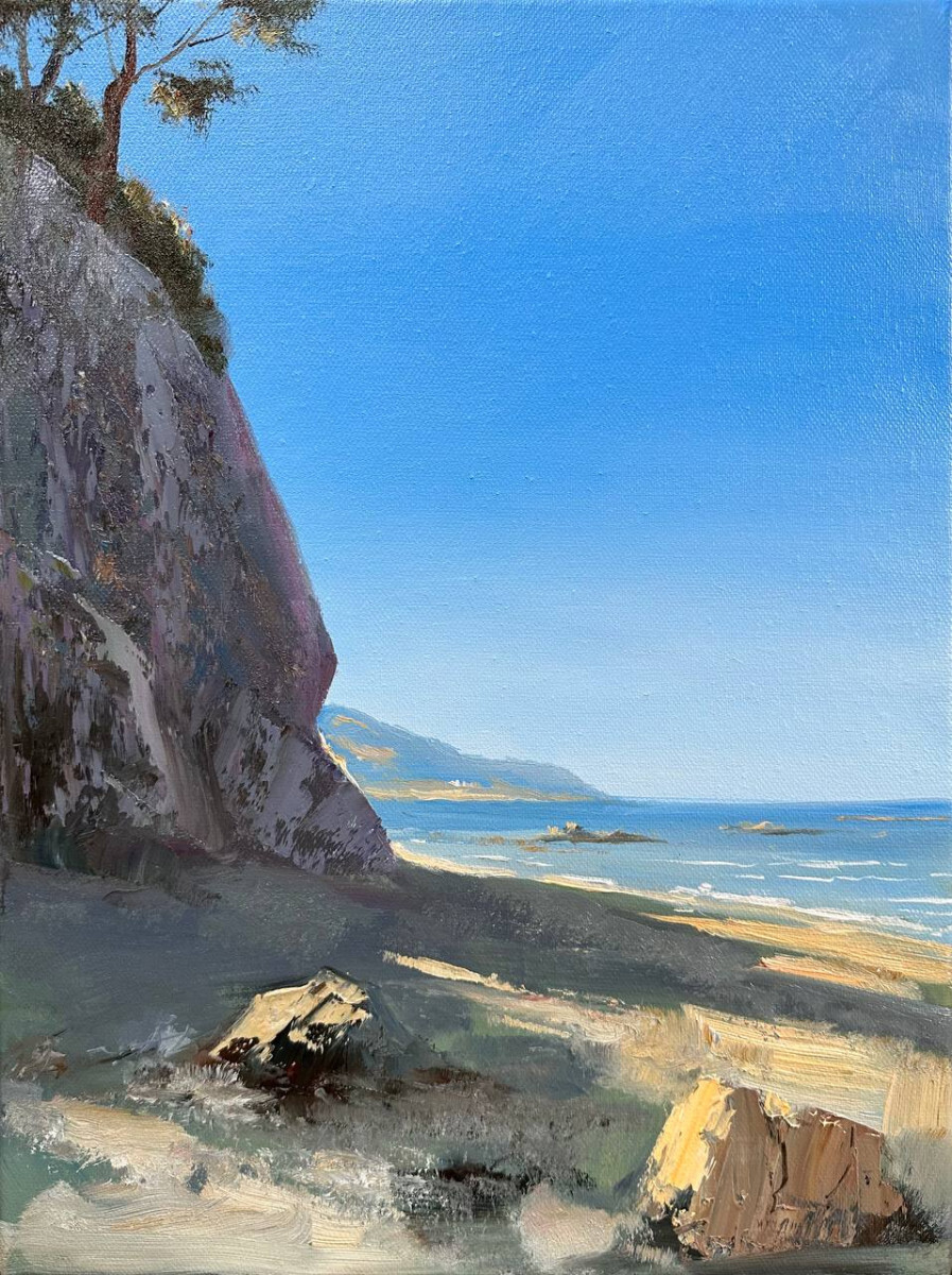 Сахалин (мыс Птичий)