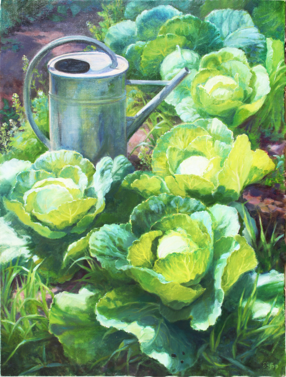 Капуста растет