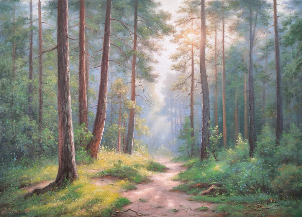 В сосновом бору