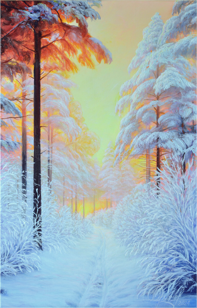 Утро в зимнем лесу.