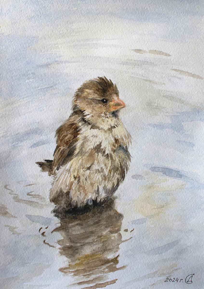 Весёлый озорник