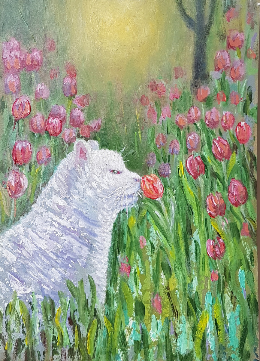 Белый кот и тюльпаны