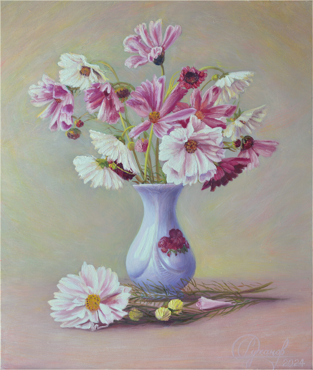 Нежные космеи.