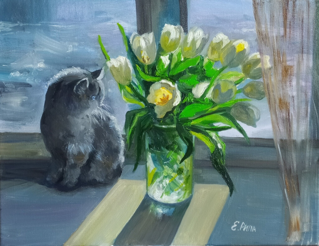 Белые тюльпаны и кошка