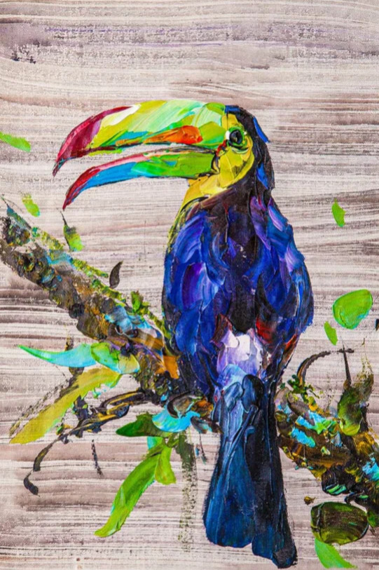 Путешествие на край земли. Тукан