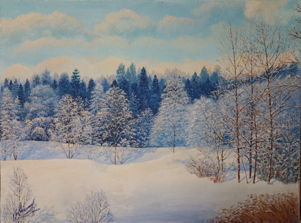 Зима в окрестностях Санкт-Петербурга