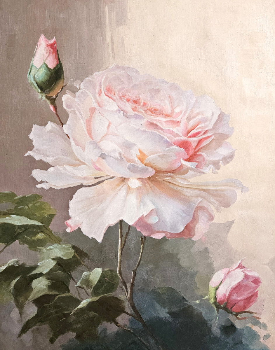 Нежная роза