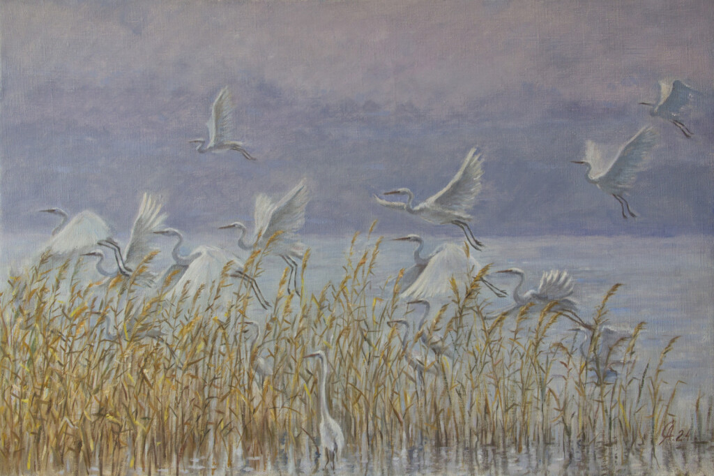 Цапли прилетели