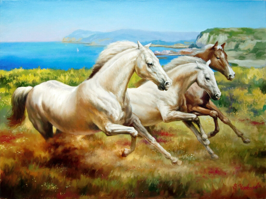 На вольном просторе