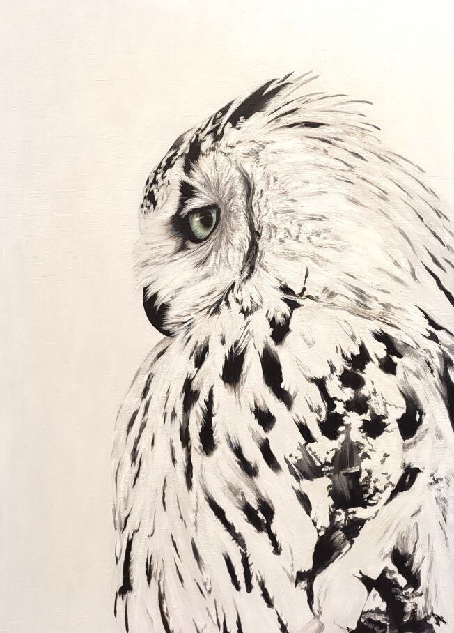 Белая сова Тайна ночи