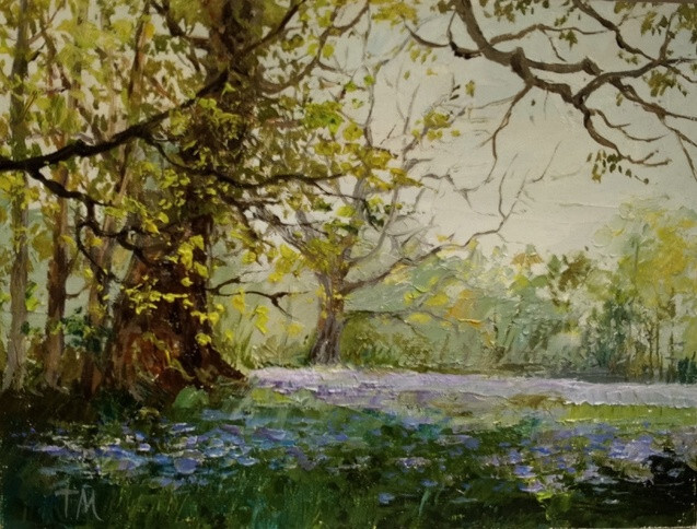 Фиалки цветут