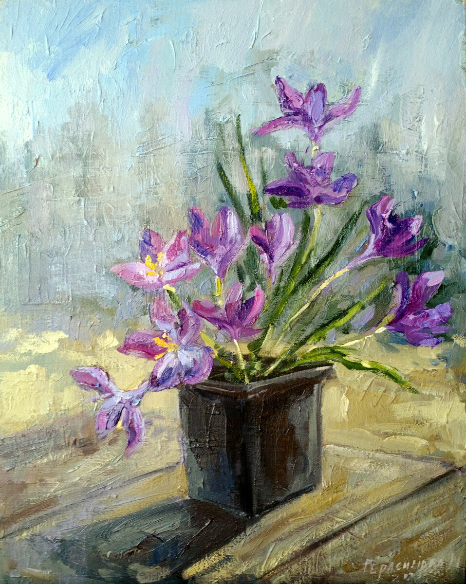 Первоцветы