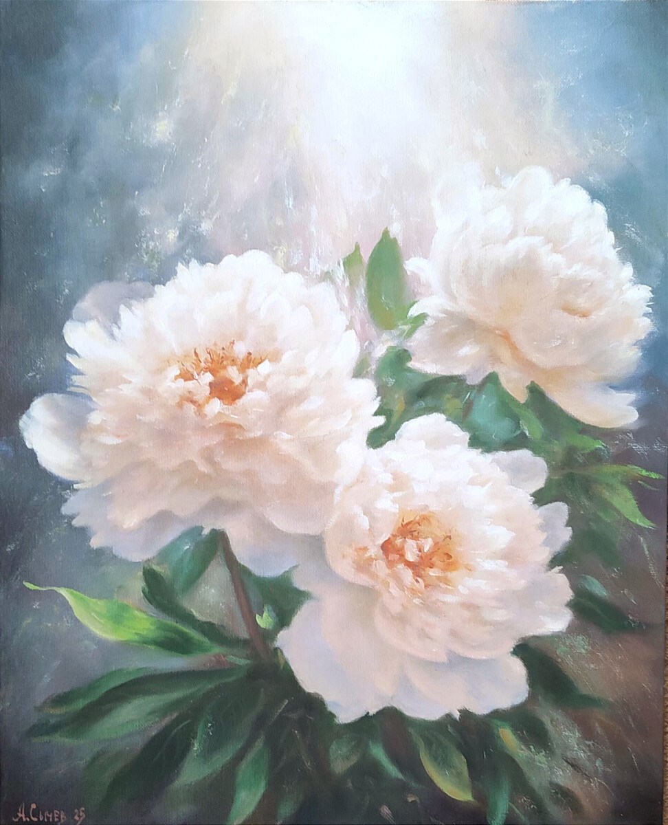 Белые пионы