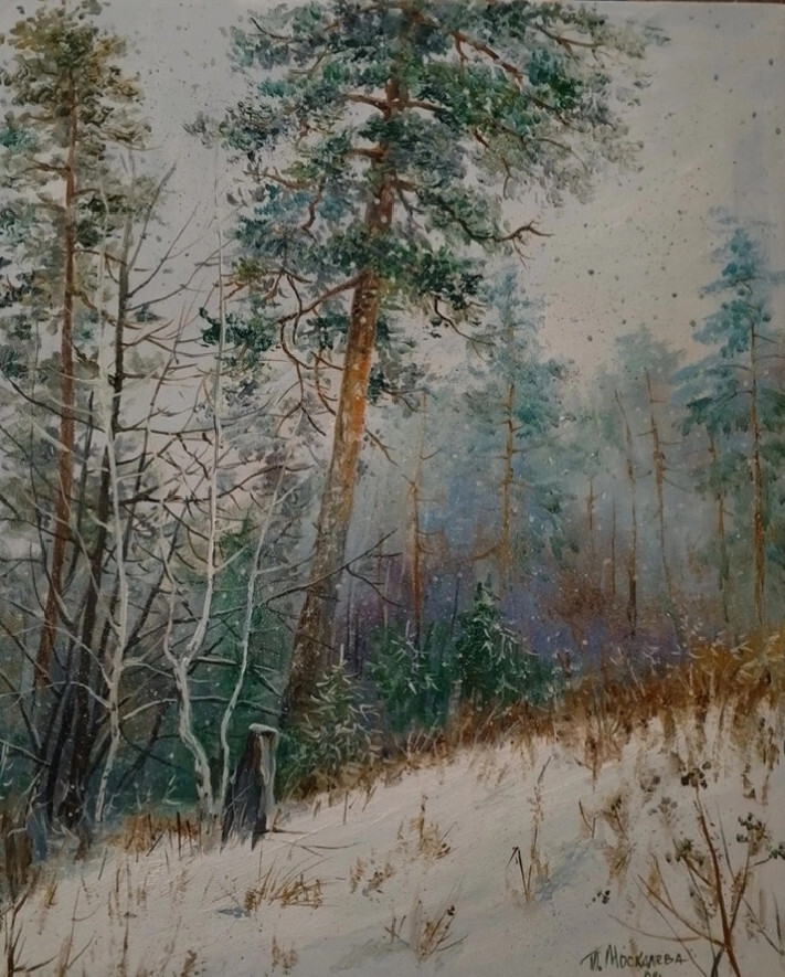 За снежной пеленой