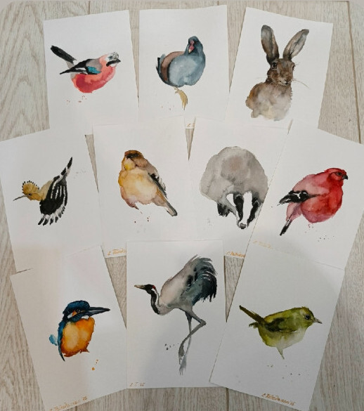 Набор акварелей "Птицы"