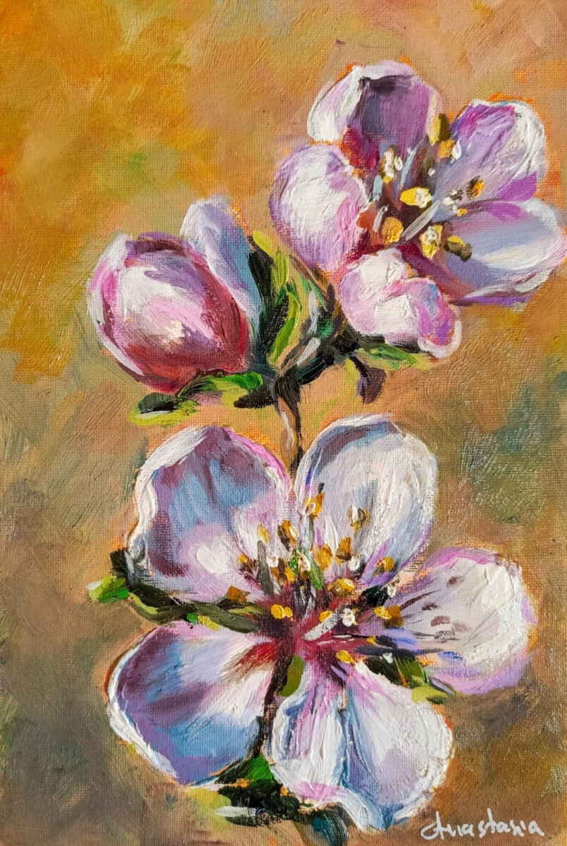 Цветение вишни