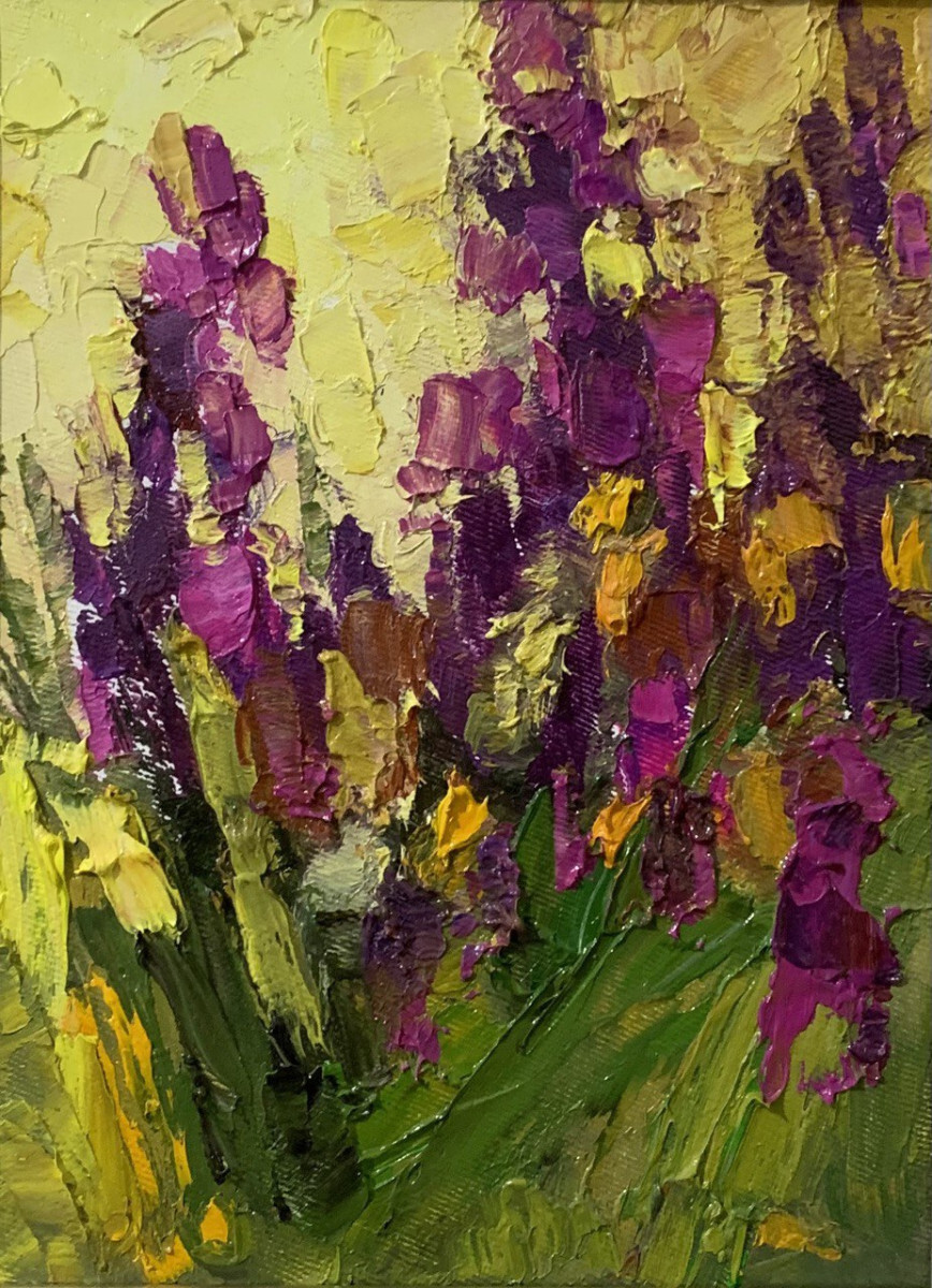 Ирисы