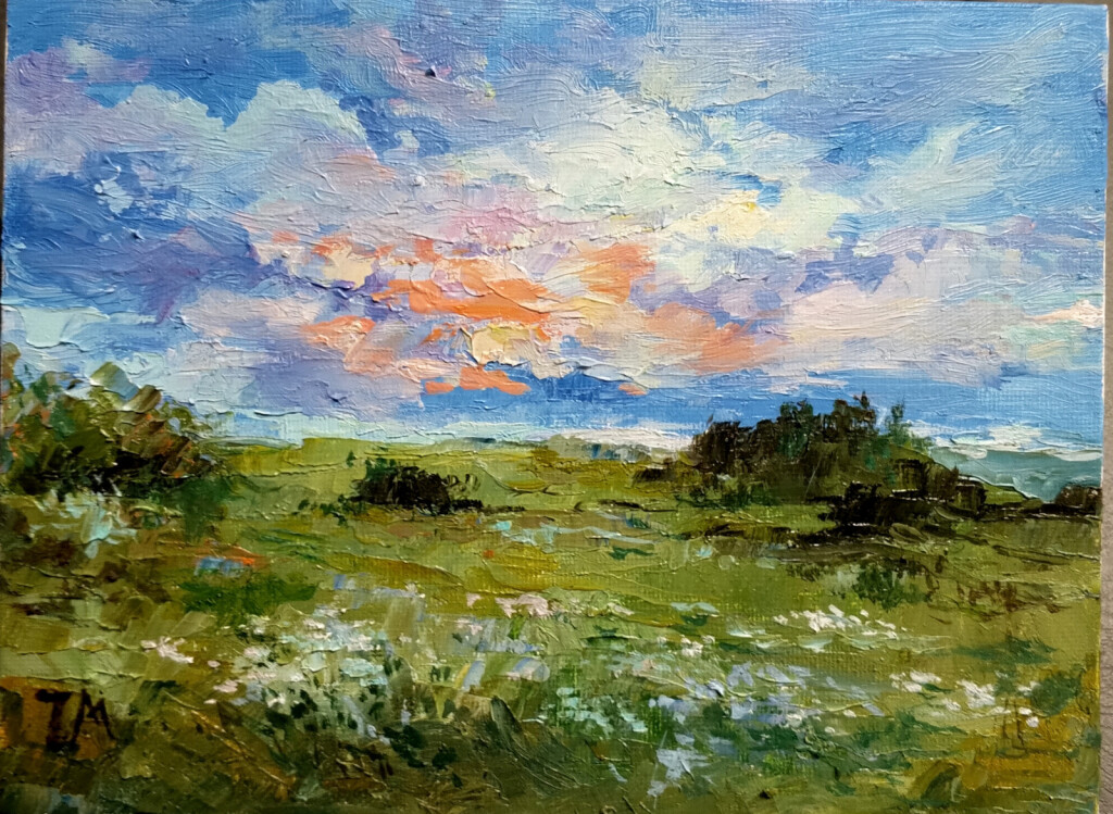 На дальней станции сойду