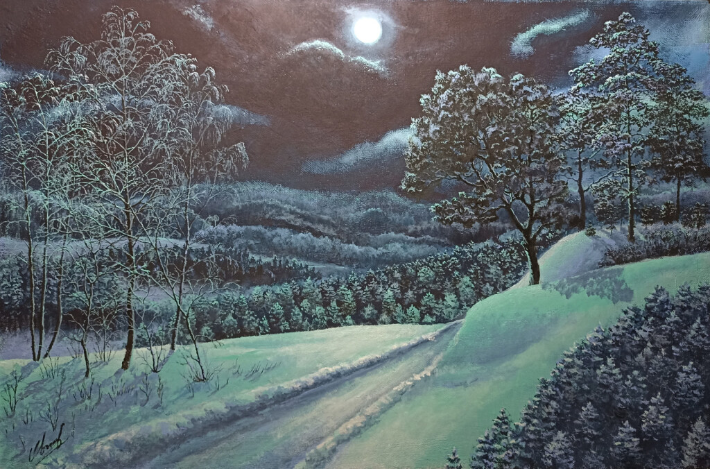 Зима на просторах Сибири. Лунная ночь.