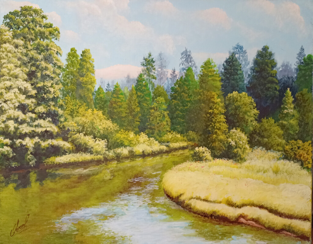 Летний день в окрестностях Лемболово