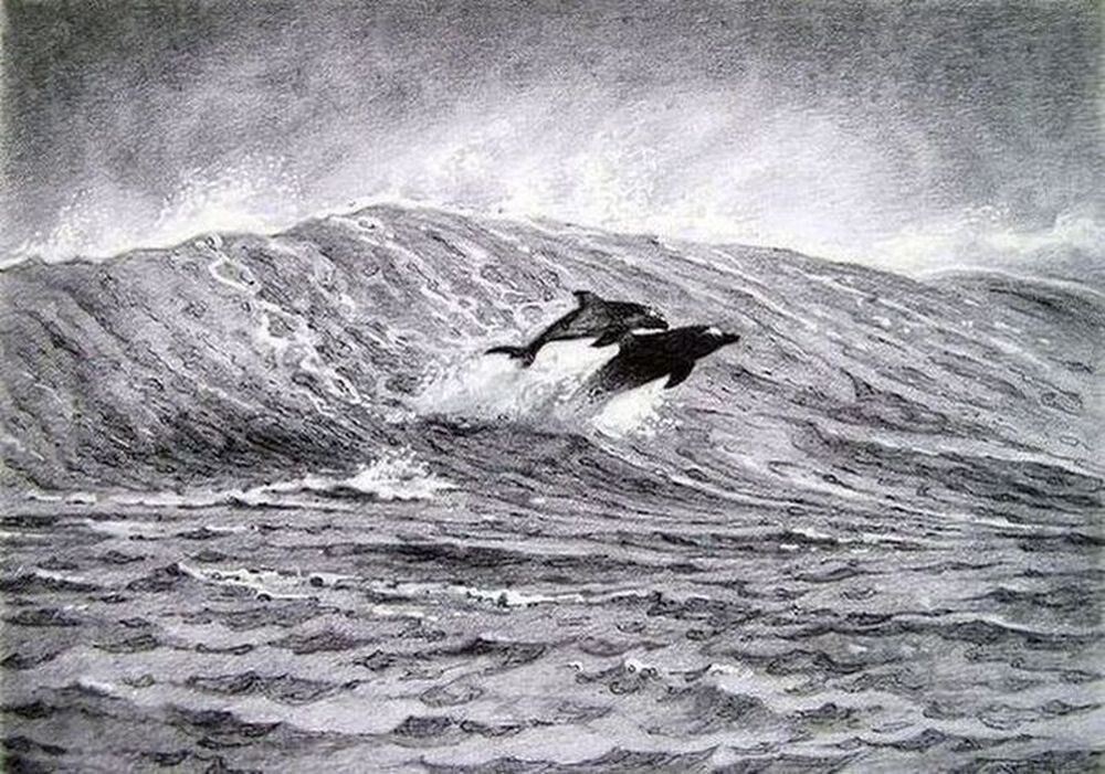 В родной стихии