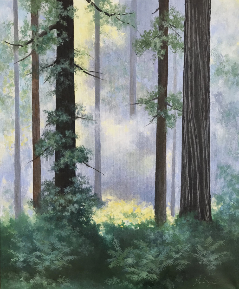 Папоротник в лесу (1)