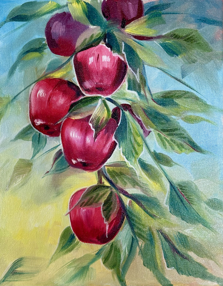 Яблоки на ветке