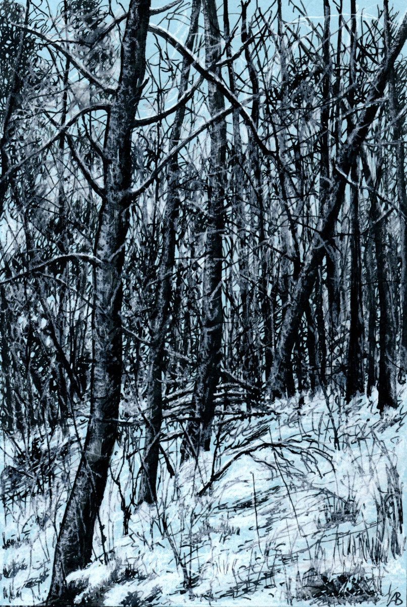 Среди зимы 38