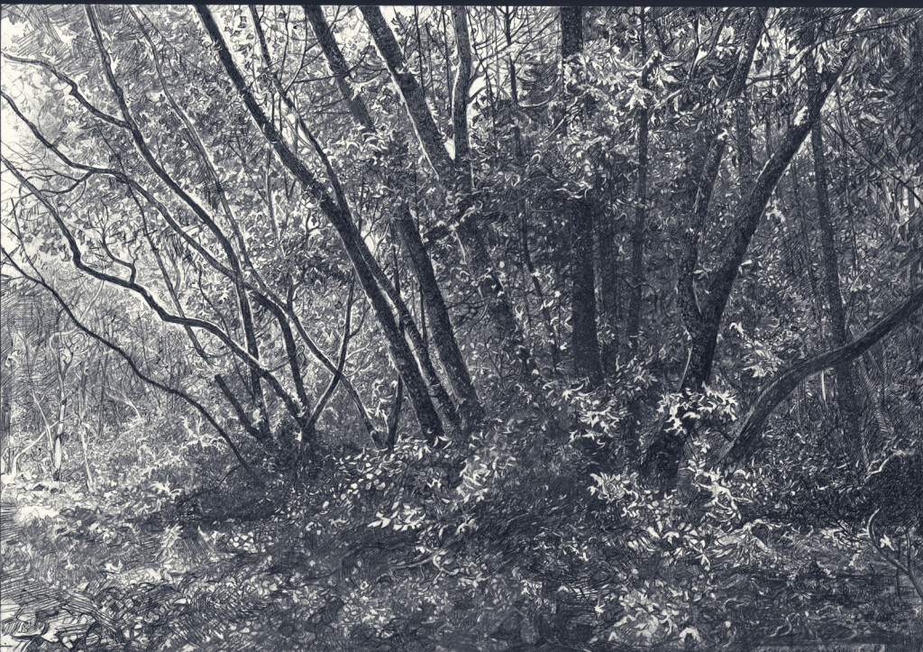 Весна в лесу