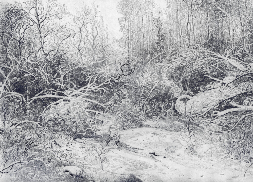 Зима в лесу