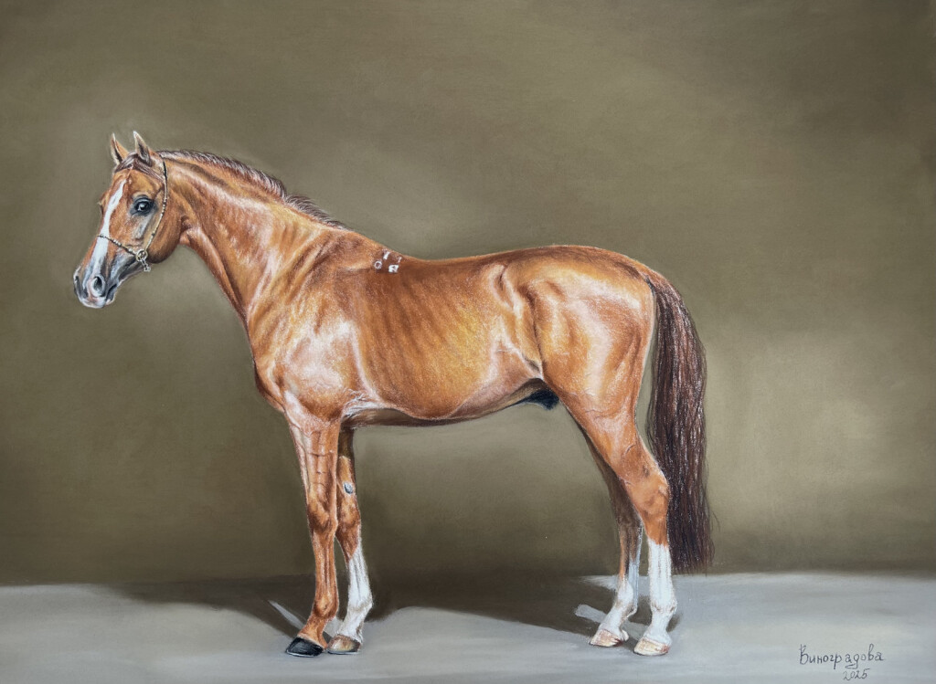 Золото степей