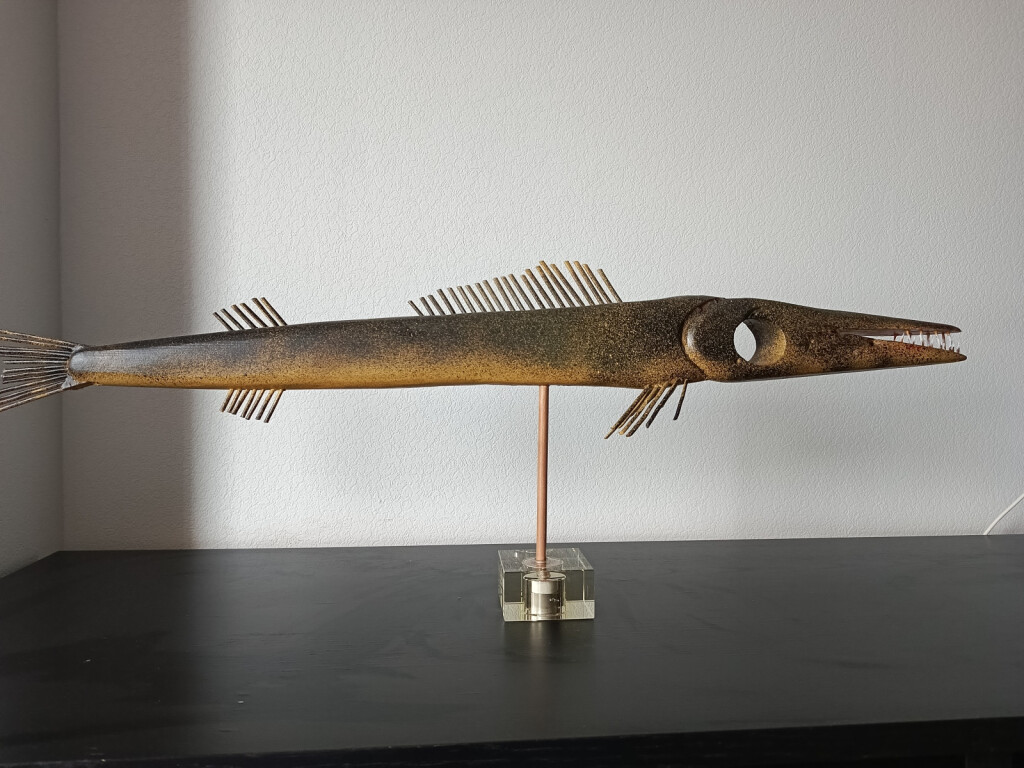 Взгляд сквозь рыбу