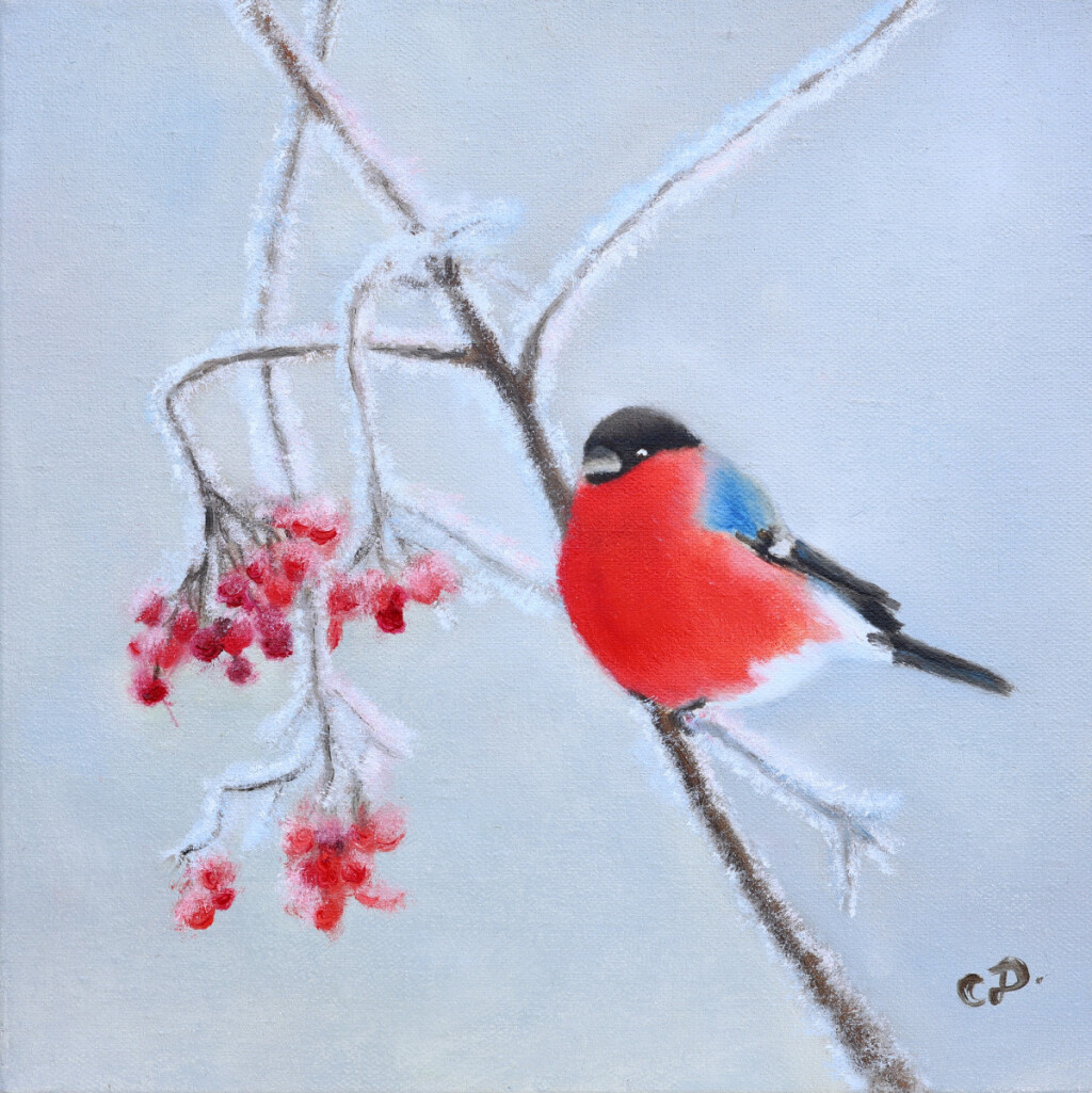 Снегирь на ветке