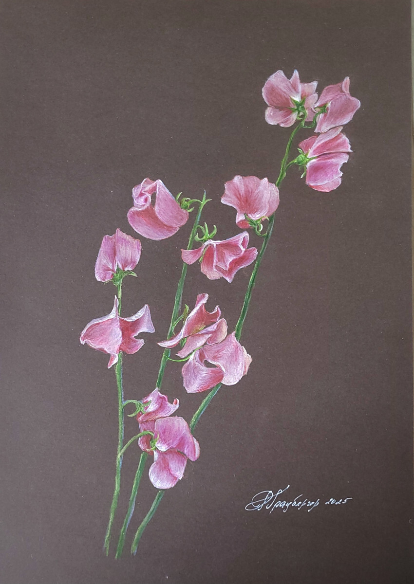 Розовые цветы