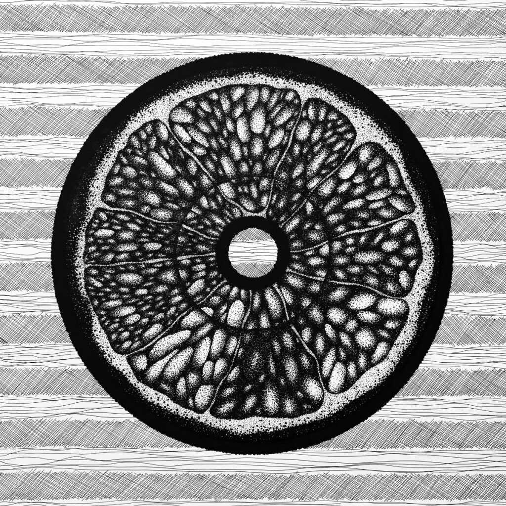 Картина черно-белая Цитрус в разрезе Апельсин Лимон Фрукт Виниловая пластинка