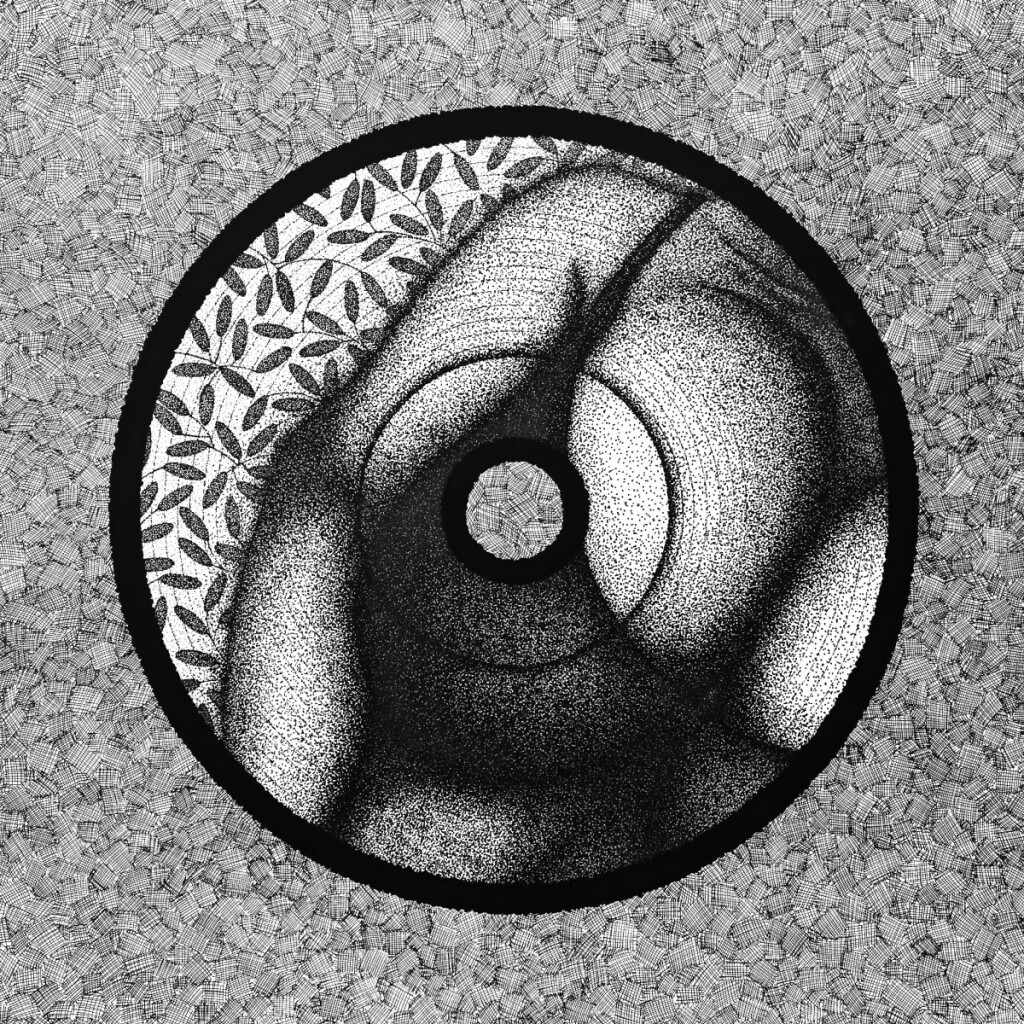 Картина черно-белая Девушка в купальнике Бюст Грудь Грампластинка