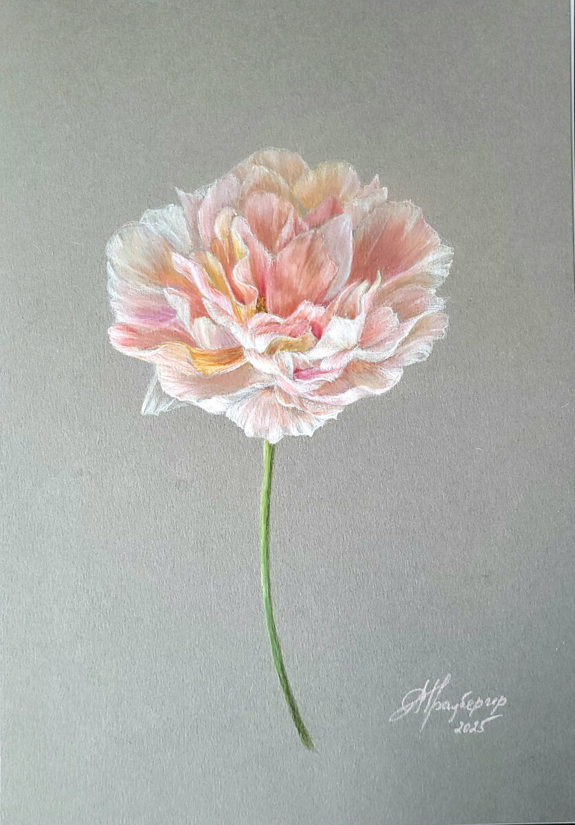 Розовый шелк