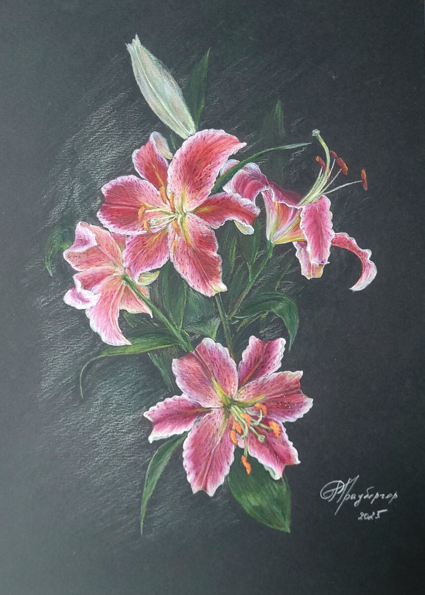 Розовые лилии