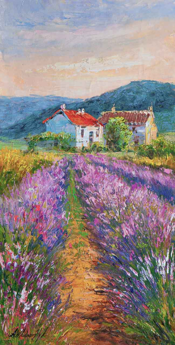 Душа Прованса