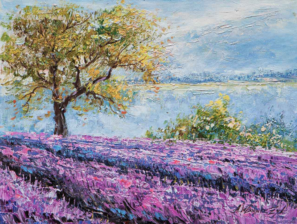 Утренний туман над лавандовым полем